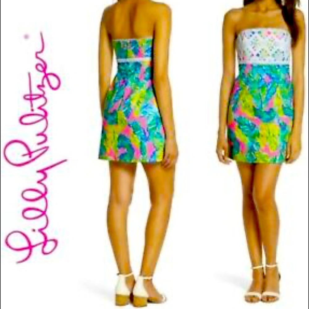 NWT Lilly Pulitzer Brynn dress 12
